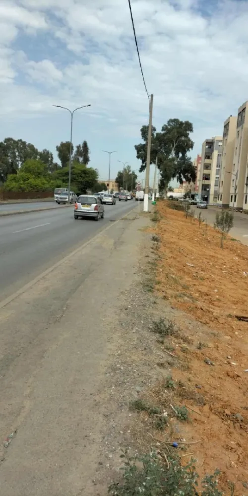Location Local Alger Baraki