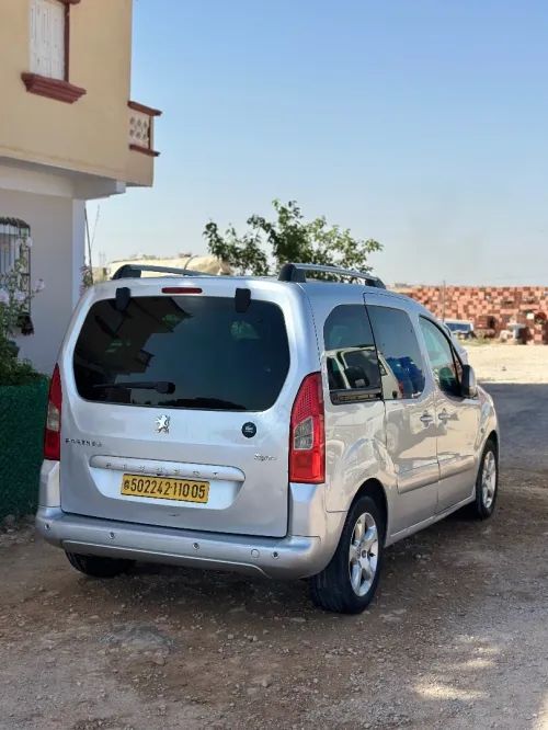 Peugeot Partner 2010 Tepee