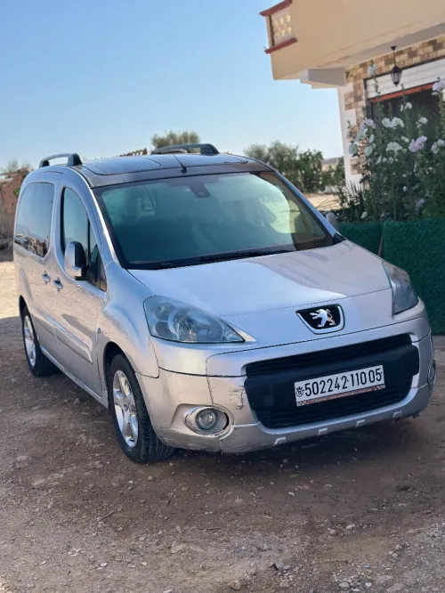 Peugeot Partner 2010 Tepee