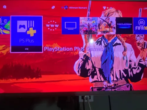 PS4 fat