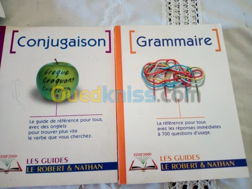 Guide le Robert & Nathan de grammaire et de conjugaison 