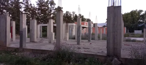 Vente Terrain Blida Chebli 2