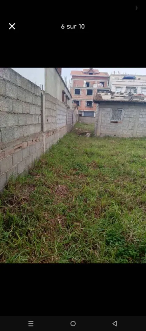 Vente Terrain Alger Rouiba