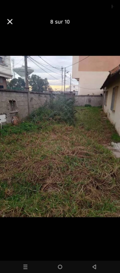Vente Terrain Alger Rouiba