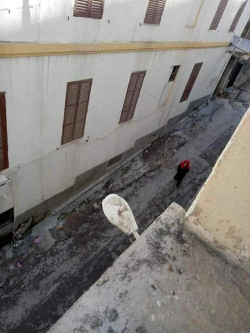 Vente Appartement F2 Constantine Constantine