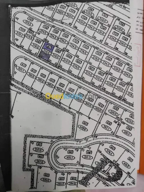 Vente Terrain Constantine Constantine