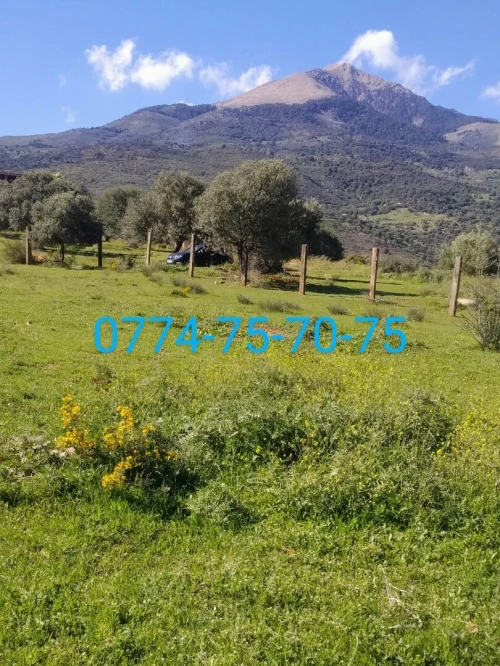 Vente Terrain Bouira Saharidj