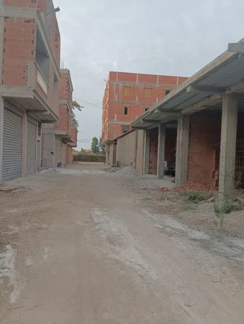 Vente Terrain Alger Sidi moussa