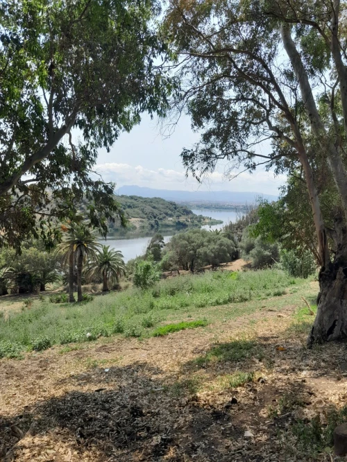 Location vacances Niveau De Villa F2 Alger Ain taya