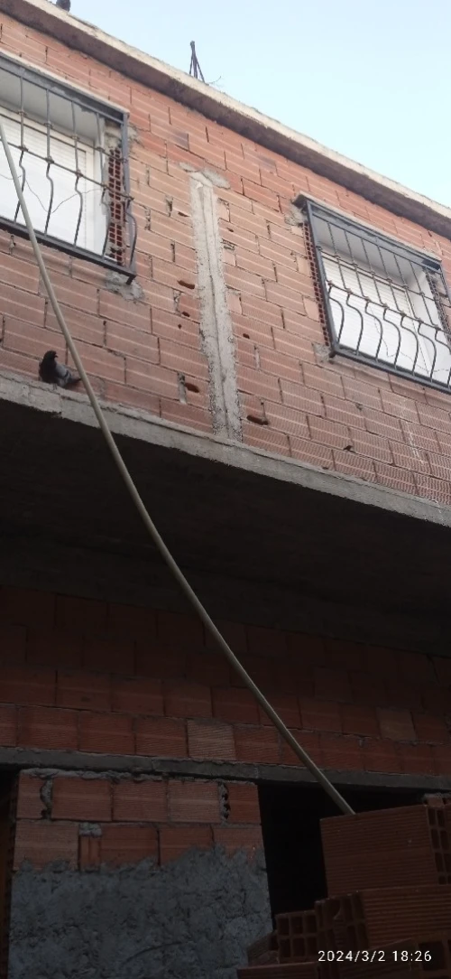 Vente Villa Alger Les eucalyptus