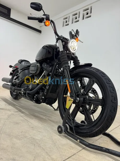 Harley davidson Street bob 114 2024