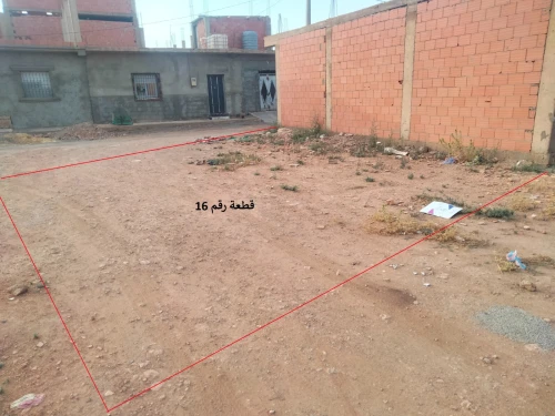 Vente Terrain Sidi Bel Abbès Oued sefioun