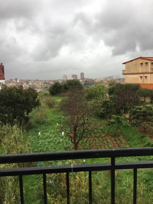 Vente Appartement F3 Alger Draria