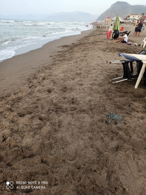 Location vacances Appartement F2 F3 Béjaïa Tichy