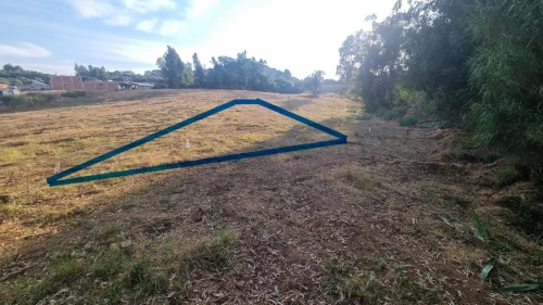 Vente Terrain Boumerdès Beni amrane