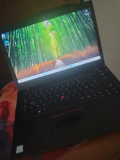 ThinkPad Lenovo L480