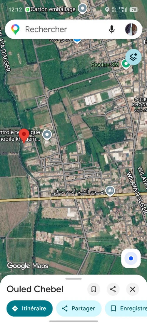 Vente Terrain Blida Chebli 2