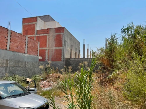 Vente Terrain Blida Chebli 4