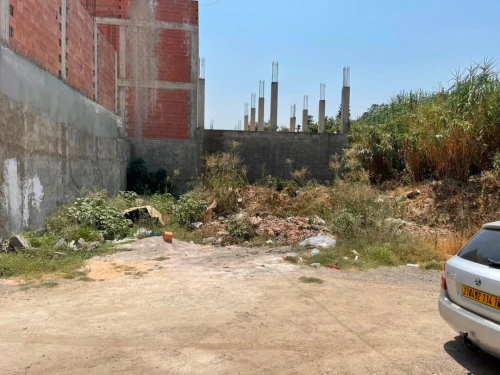 Vente Terrain Blida Chebli 7
