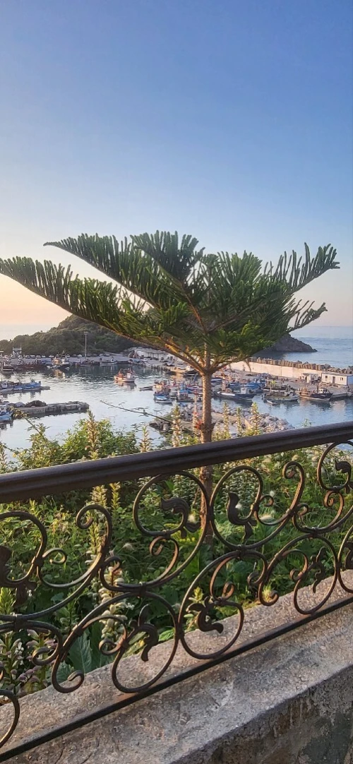 Location vacances Appartement F3 Jijel Ziama mansouriah