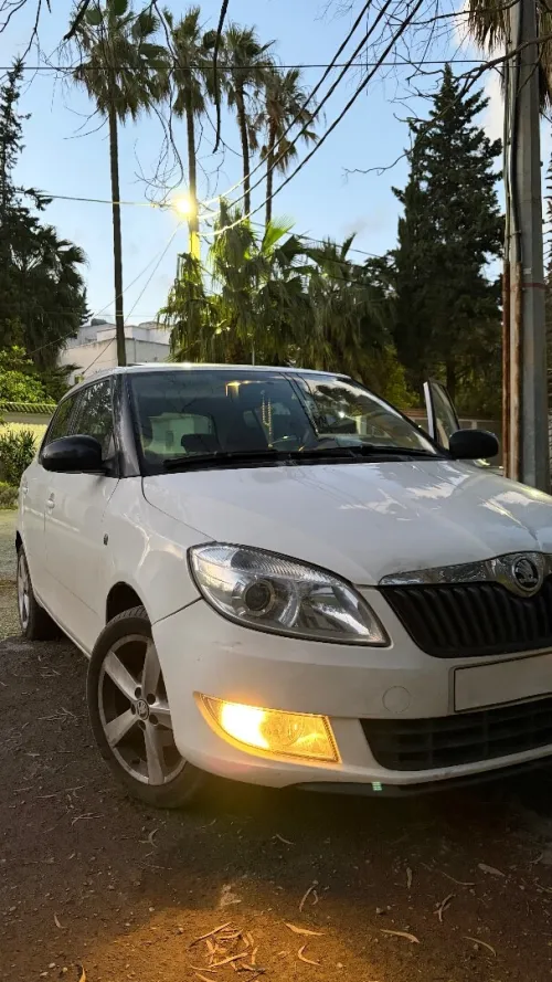 Skoda Fabia 2014 Fresh