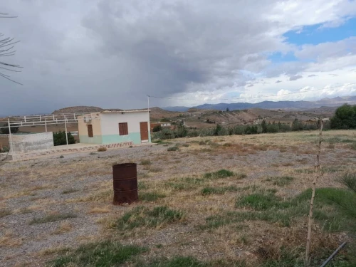 Vente Terrain Agricole Bordj Bou Arreridj Mansoura 3