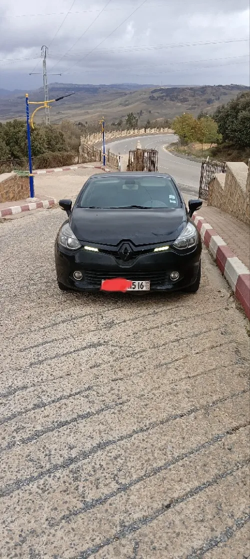 Renault Clio 4 2015 Seventeen