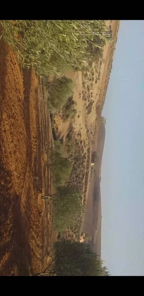Vente Terrain Agricole Tlemcen Remchi