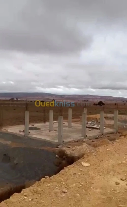 Vente Terrain Agricole Sidi Bel Abbès Telagh