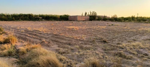 Vente Terrain Agricole Djelfa Ain el ibel