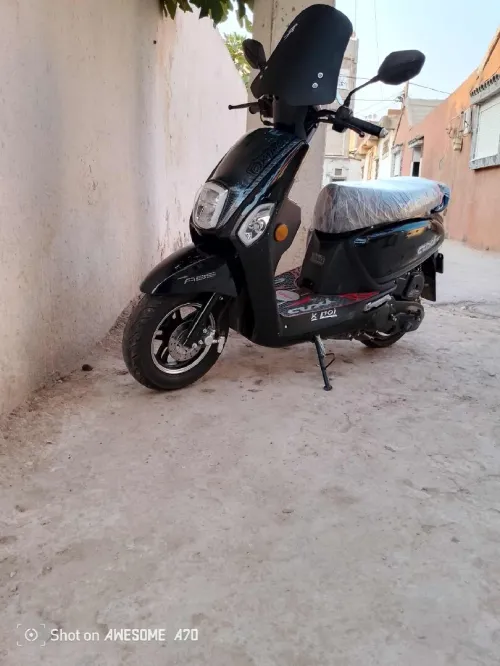 Cocsi okinoi Okinoi 2025