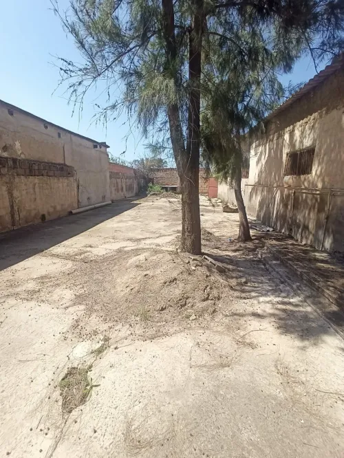 Vente Terrain Alger Ouled chebel