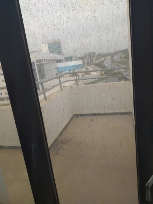 Location Appartement Duplex F5 Alger Said hamdine