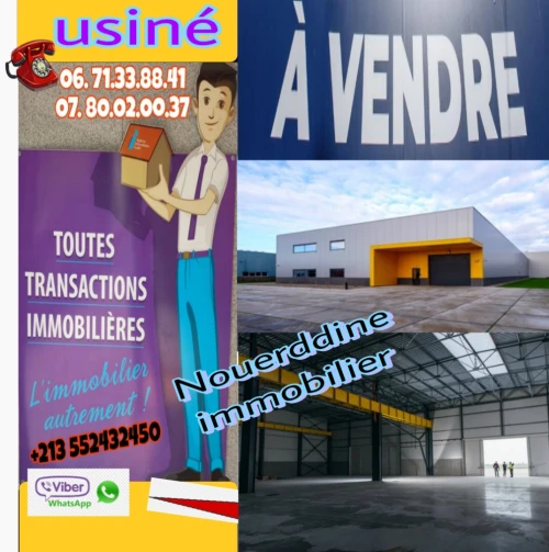 Vente Hangar - Usine Alger Alger centre