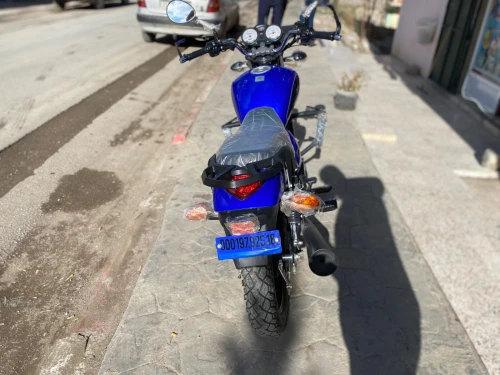 Vms C Light 2025