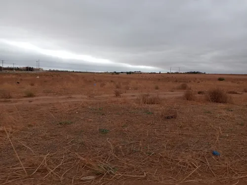 Vente Terrain Agricole Sidi Bel Abbès Amarnas