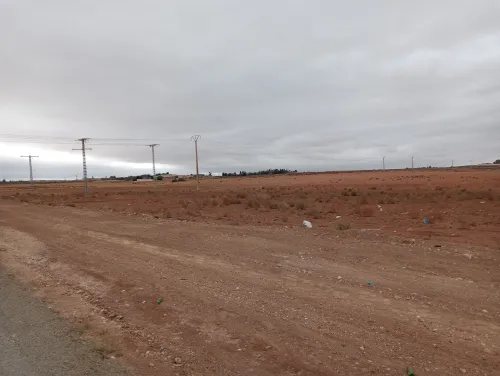 Vente Terrain Agricole Sidi Bel Abbès Amarnas