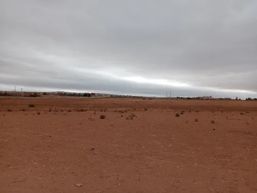 Vente Terrain Agricole Sidi Bel Abbès Amarnas