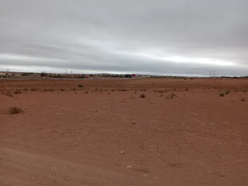 Vente Terrain Agricole Sidi Bel Abbès Amarnas