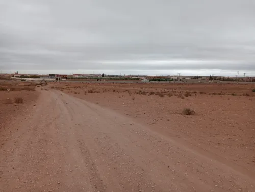 Vente Terrain Agricole Sidi Bel Abbès Amarnas