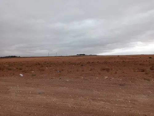 Vente Terrain Agricole Sidi Bel Abbès Amarnas