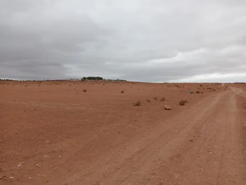 Vente Terrain Agricole Sidi Bel Abbès Amarnas