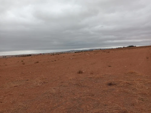 Vente Terrain Agricole Sidi Bel Abbès Amarnas