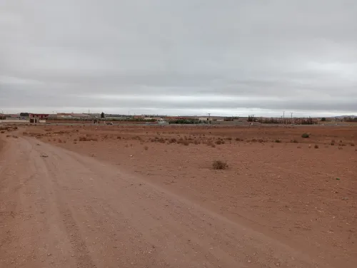 Vente Terrain Agricole Sidi Bel Abbès Amarnas