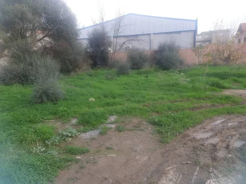 Vente Terrain Alger Birtouta