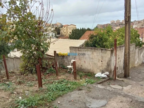 Vente Villa Alger Bouzareah