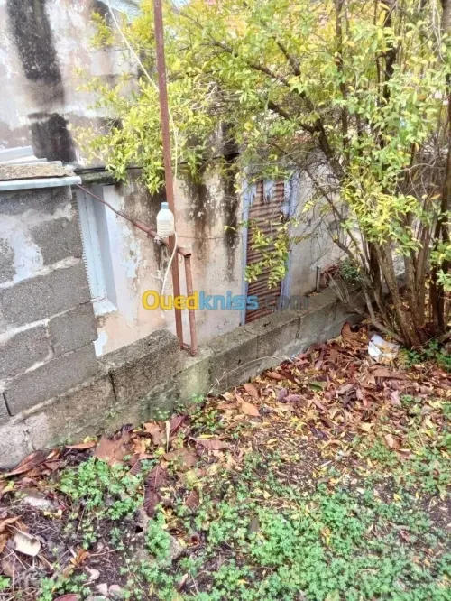Vente Villa Alger Bouzareah