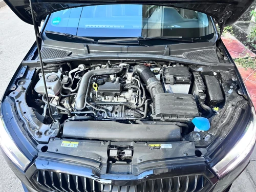 Skoda Fabia 2022 Monte Carlo
