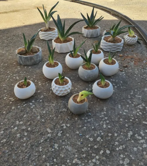 Pot de plantes en ciment