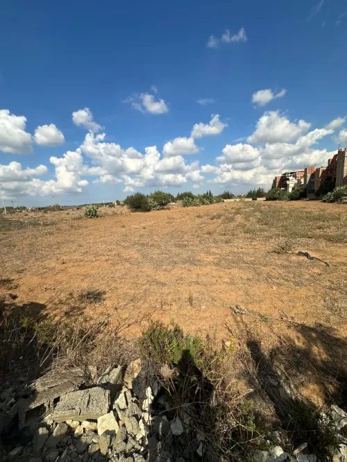 Vente Terrain Blida Chiffa